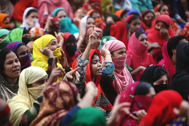 Photographer Wilkinson Arrest: Gaza Protest, NYT Vandalism