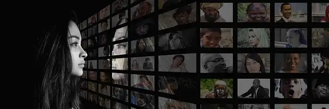 LGBTQ+ Media: Challenges, Funding, and Future