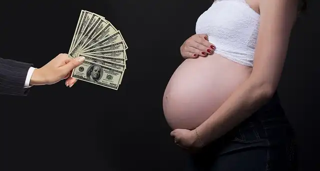 Florida Surrogacy Battle: LGBTQ+ Families & Reproductive Rights at Stake